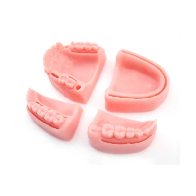 Menschliches Dental-Nahtpolster, Dental-Trainingsmodelle, Dental-Pad für die Nahtpraxis